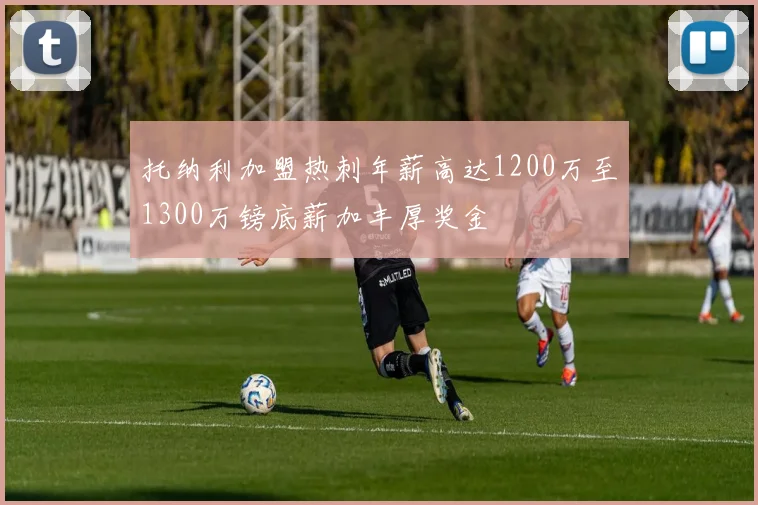 托纳利加盟热刺年薪高达1200万至1300万镑底薪加丰厚奖金